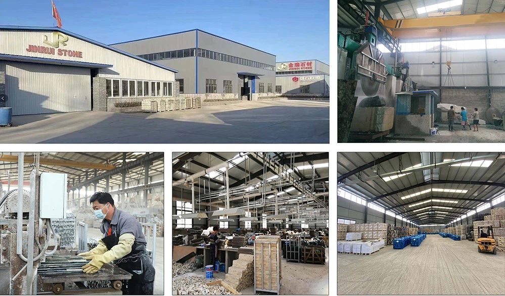 product-999-586 product-999-586